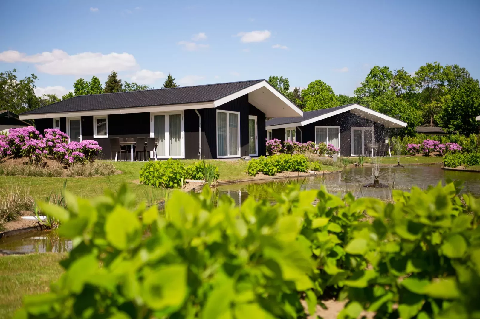 Vakantiepark Molenvelden 1-Exterior summer