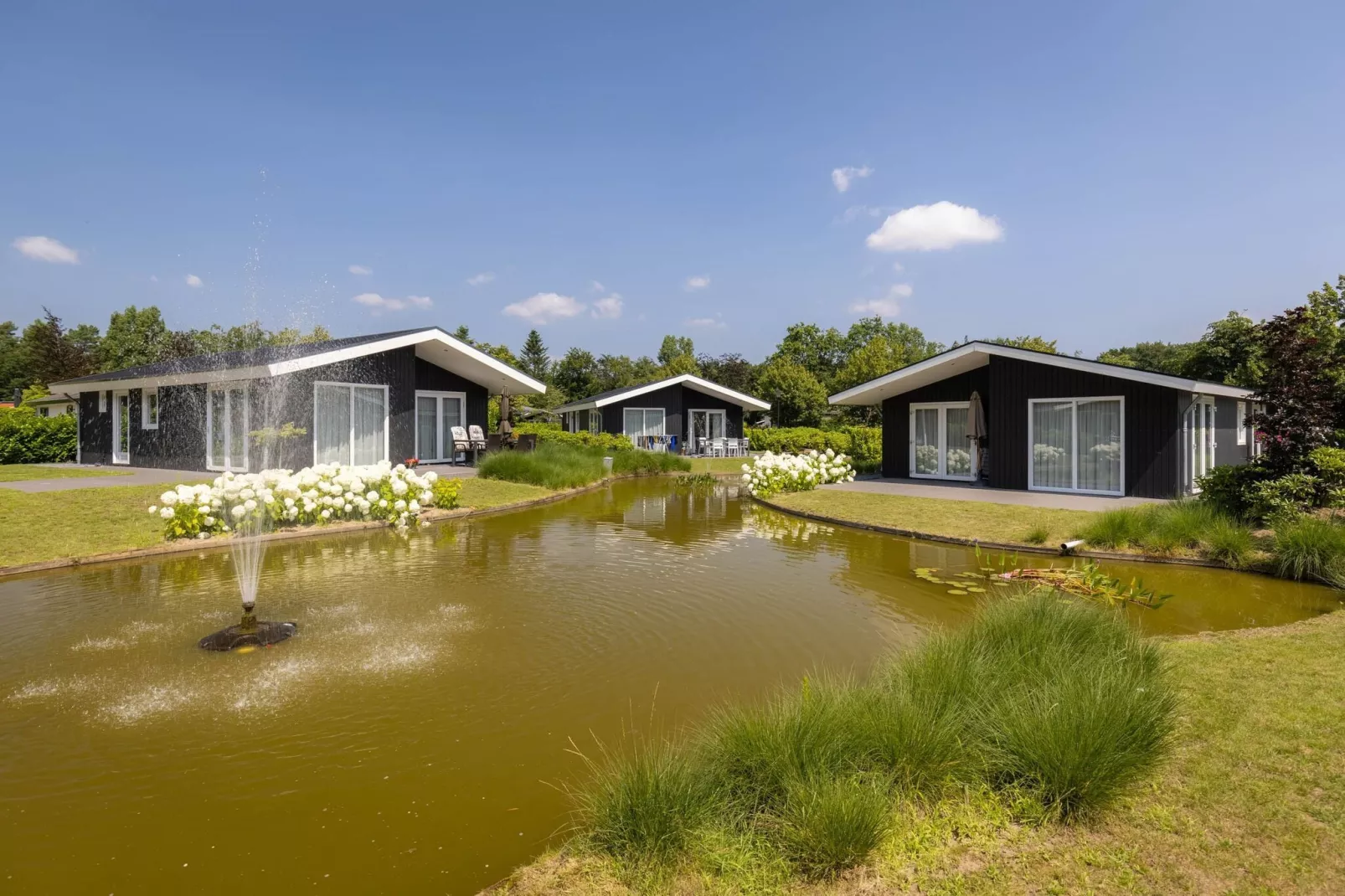 Vakantiepark Molenvelden 1-Exterior summer