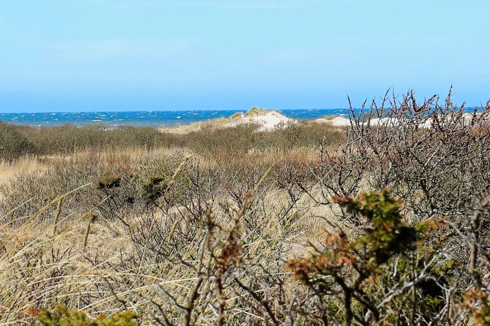 4 person holiday home in Bindslev-Water view