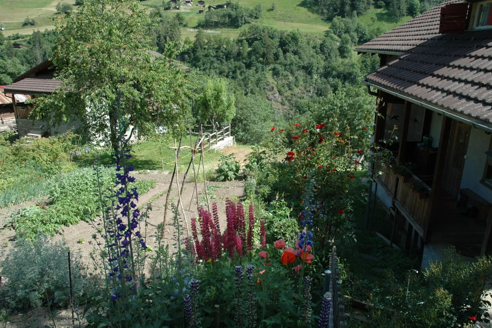 Sparrhorn-Gardens summer