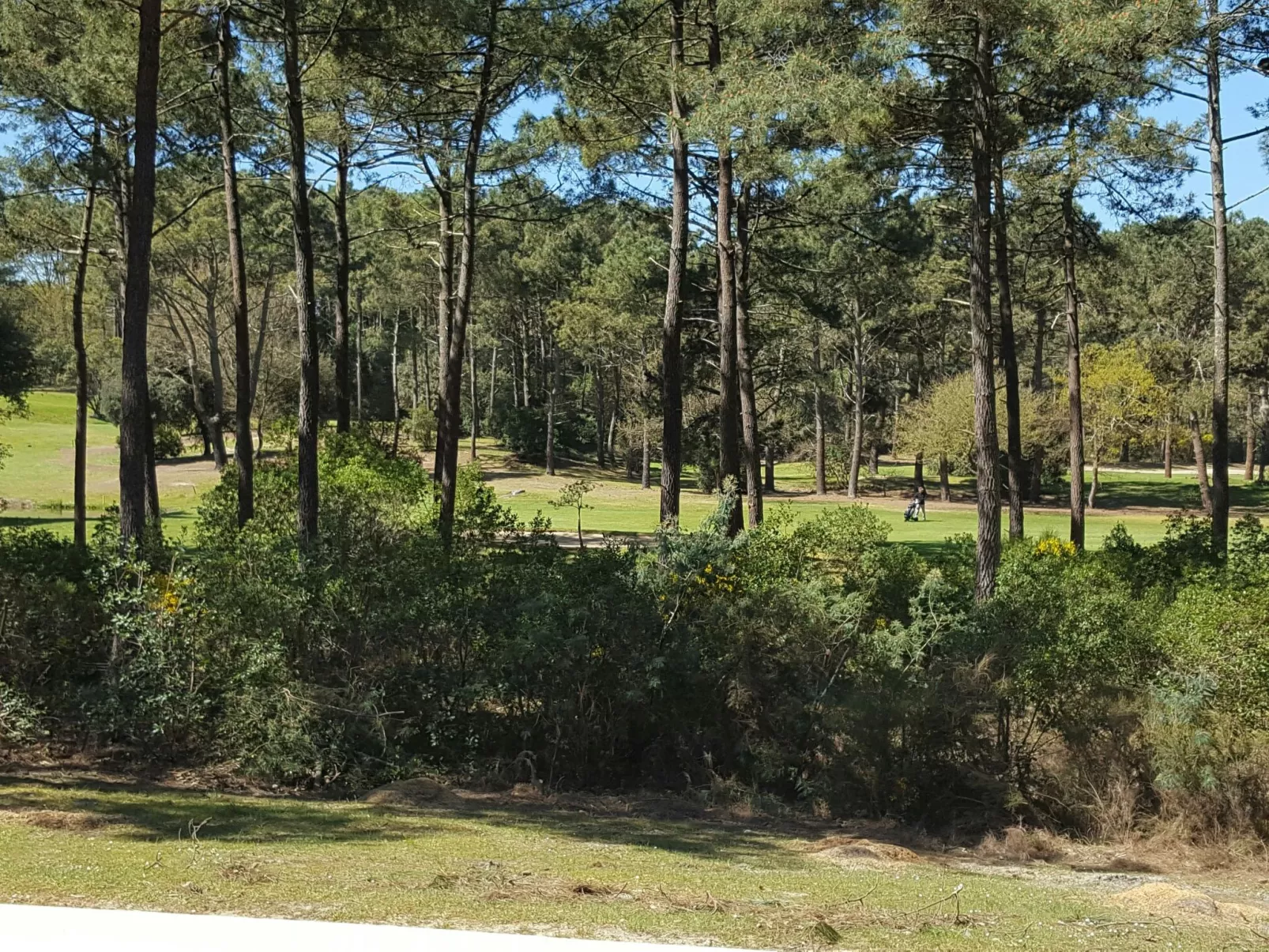Eden Parc-Outside