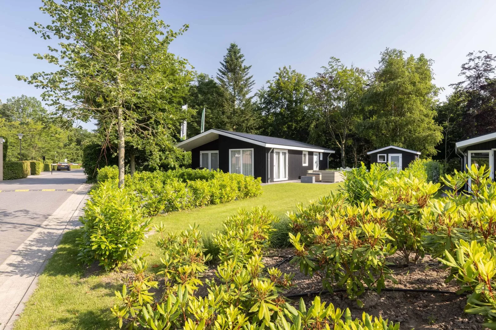 Vakantiepark Molenvelden 6-Außenbereich Sommer