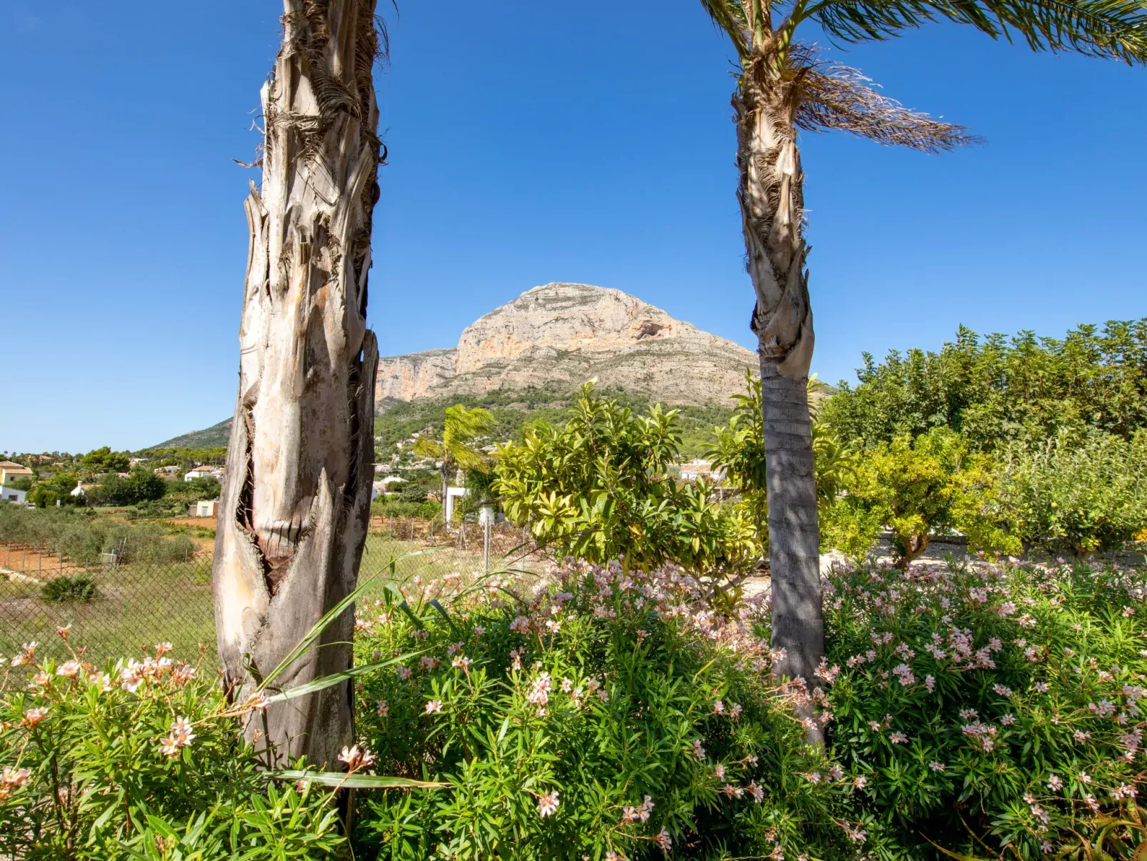 Villa Finca Labranza-Inside