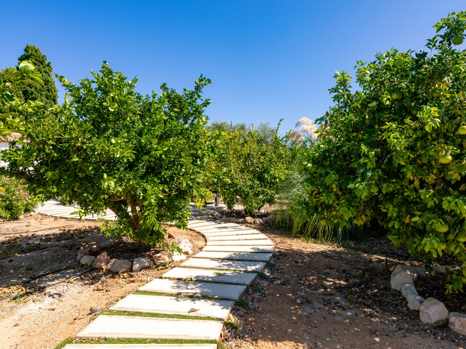 Villa Finca Labranza-Inside