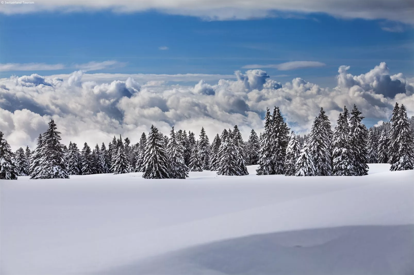 Chalet Abendruh-Gebiet Winter 20 km