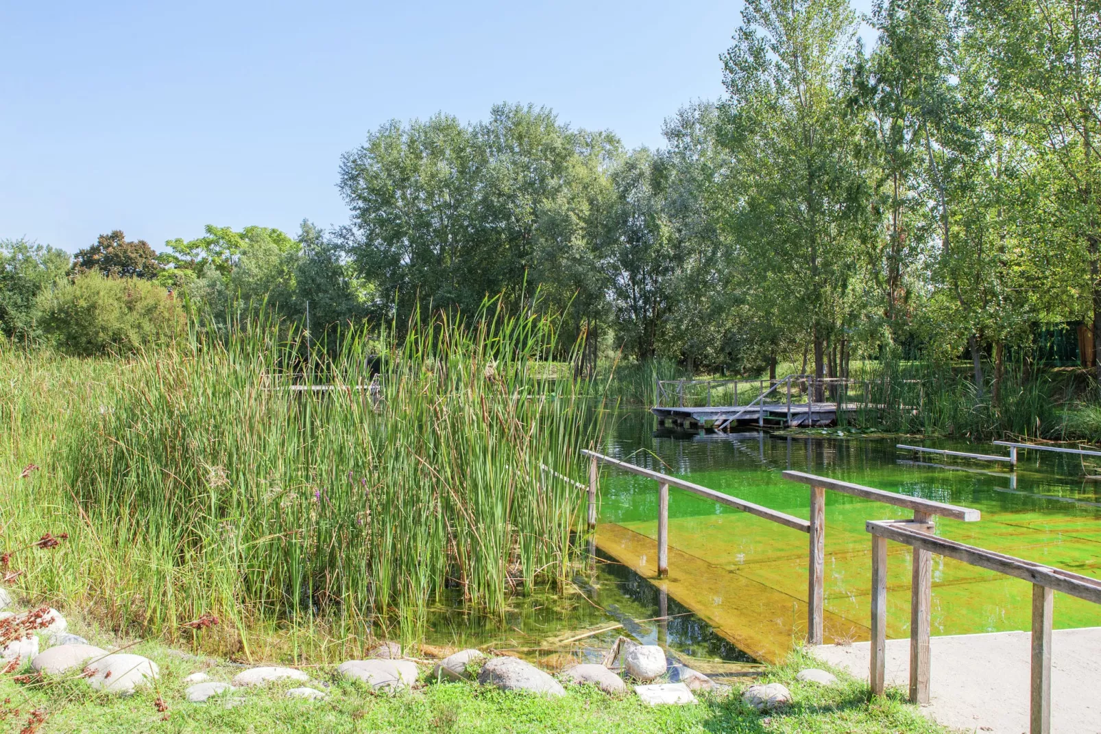 Due Laghi di Portomaggiore-Areas summer 1km