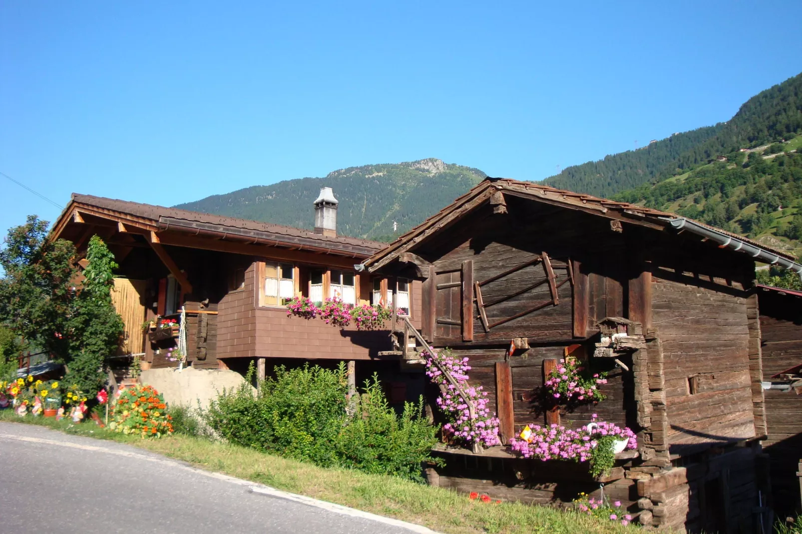Chalet Abendruh-Aussicht Sommer