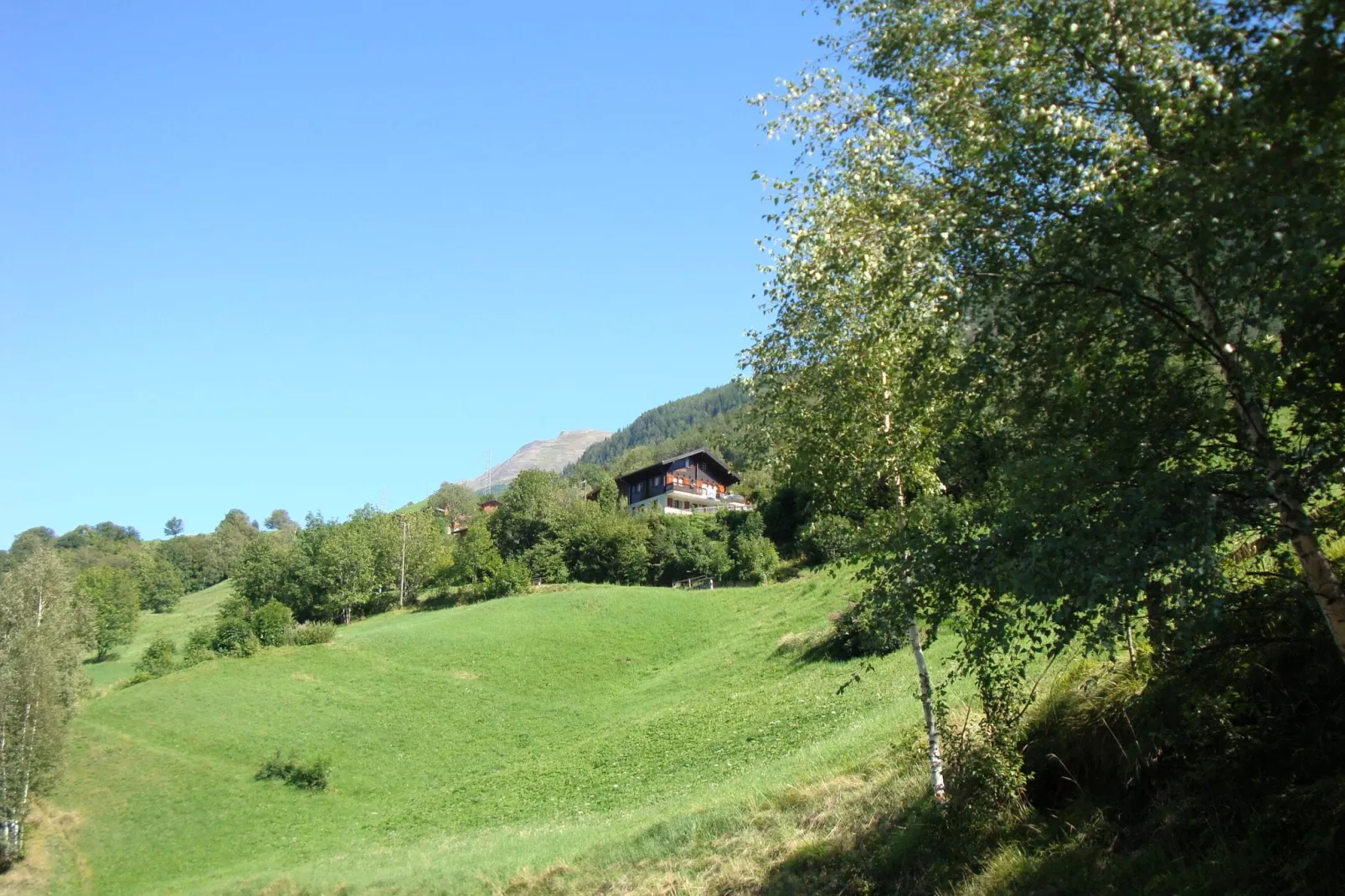 Chalet Abendruh-Aussicht Sommer