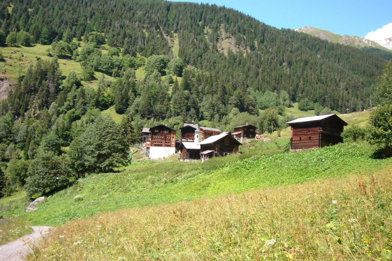 Chalet Abendruh-Gebiete Sommer 1 km