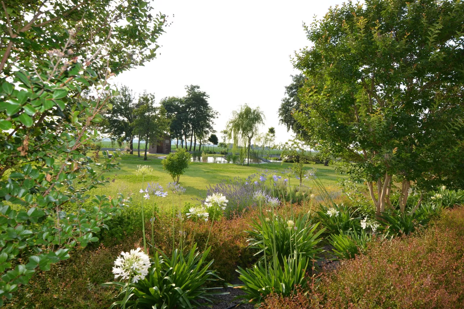Oasi Bianca-Gardens summer