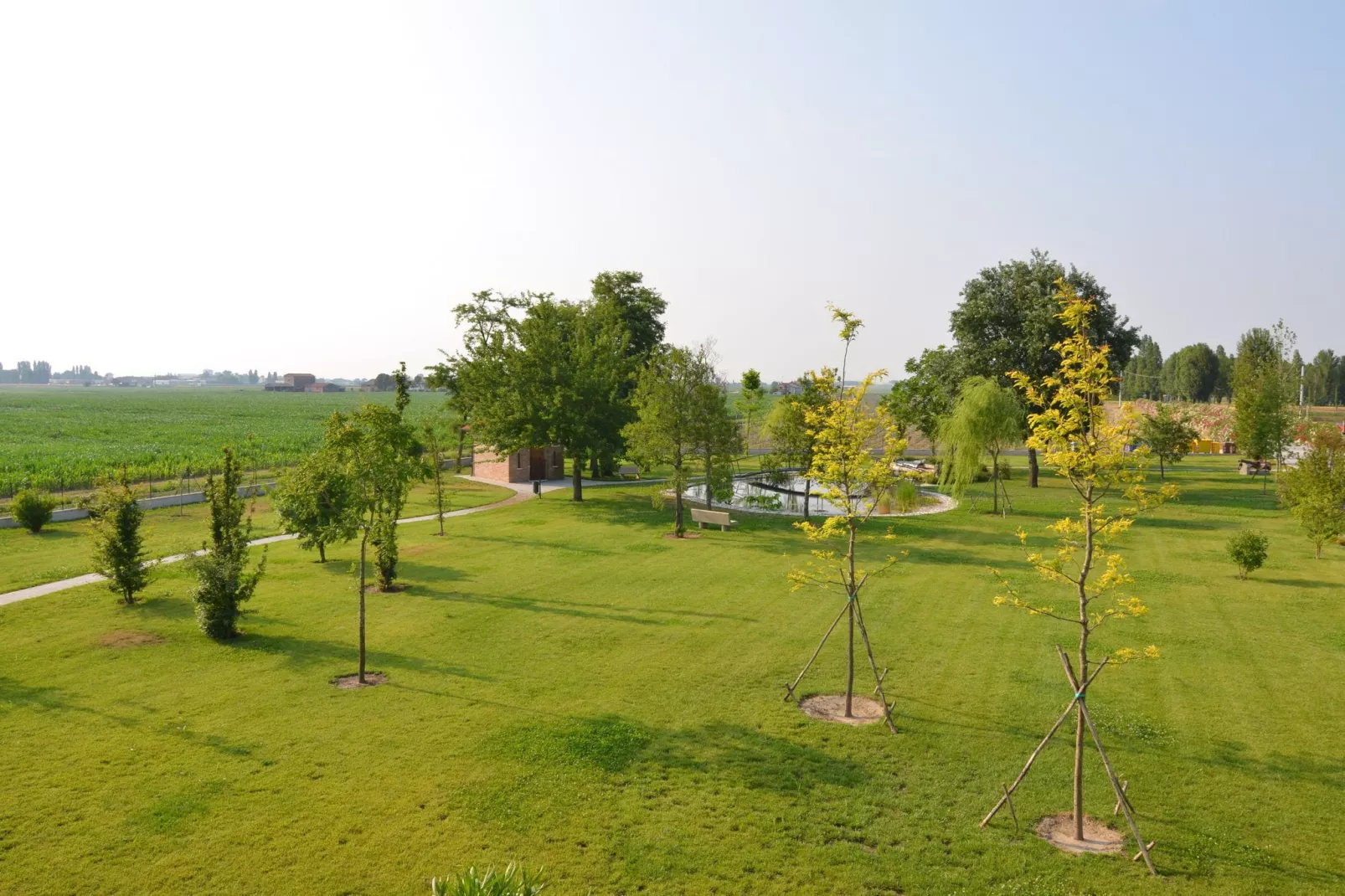 Oasi Bianca-View summer
