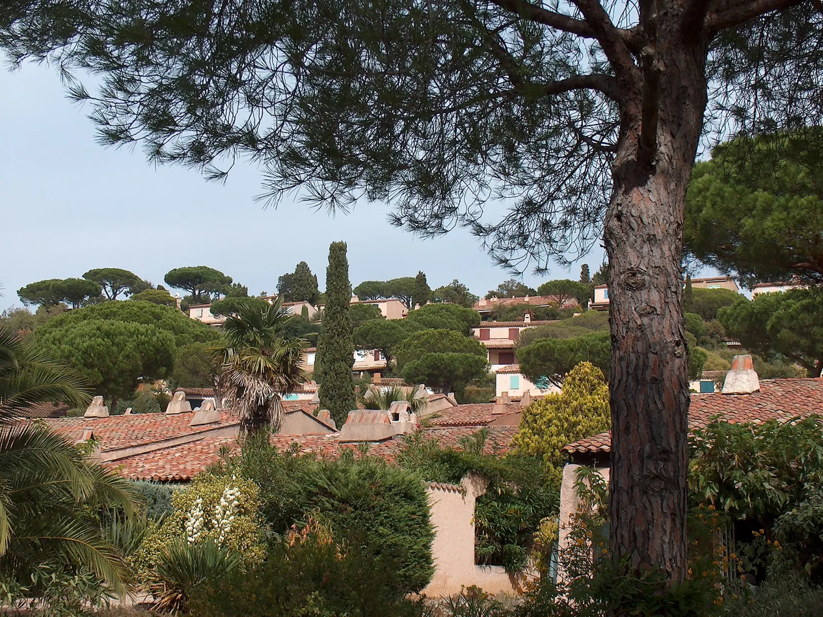 Les Mas de Gigaro-Outside