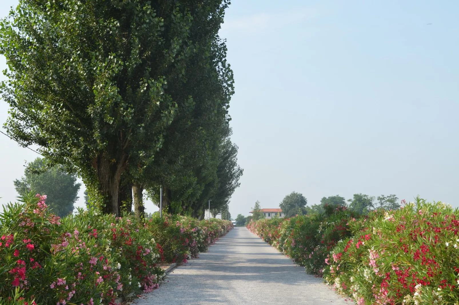 Oasi Bianca-Areas summer 1km