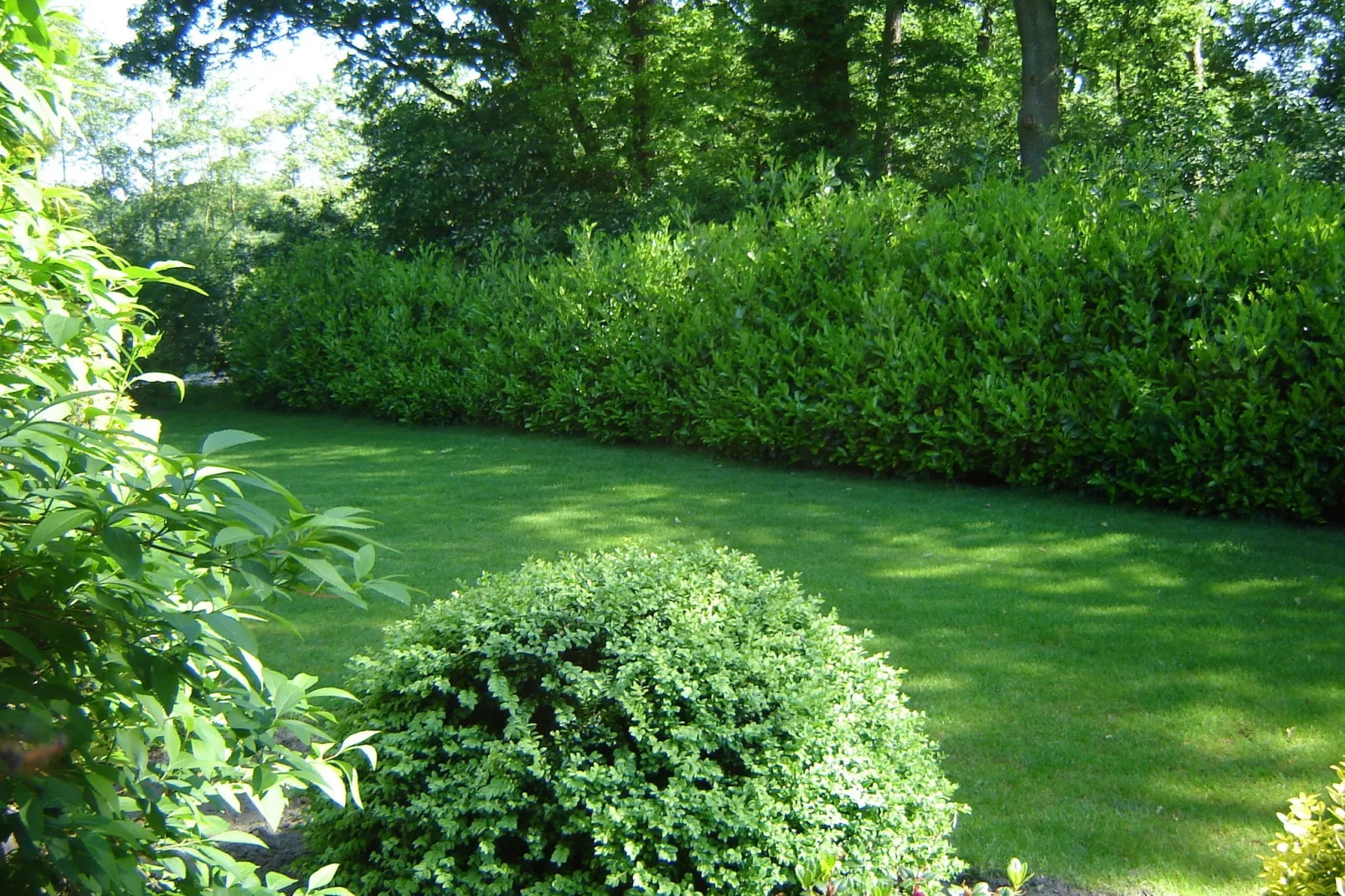 De Lansert-Gardens summer