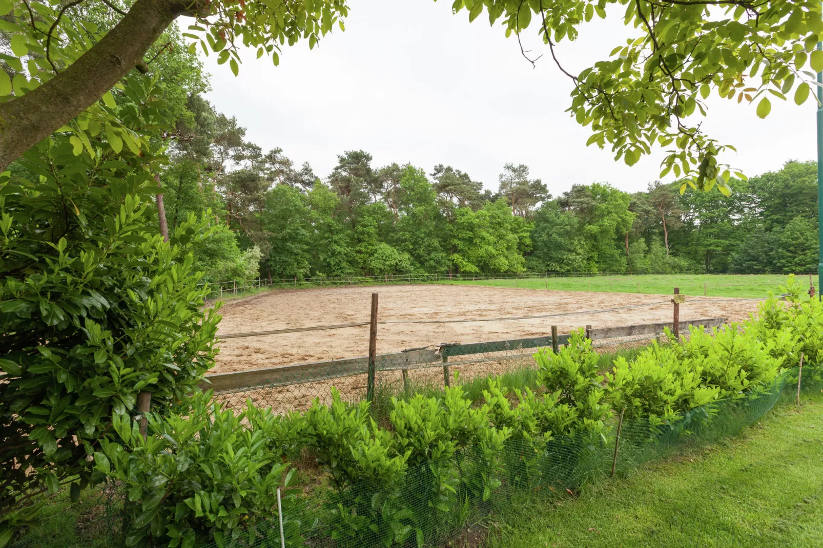 De Lansert-Areas summer 1km