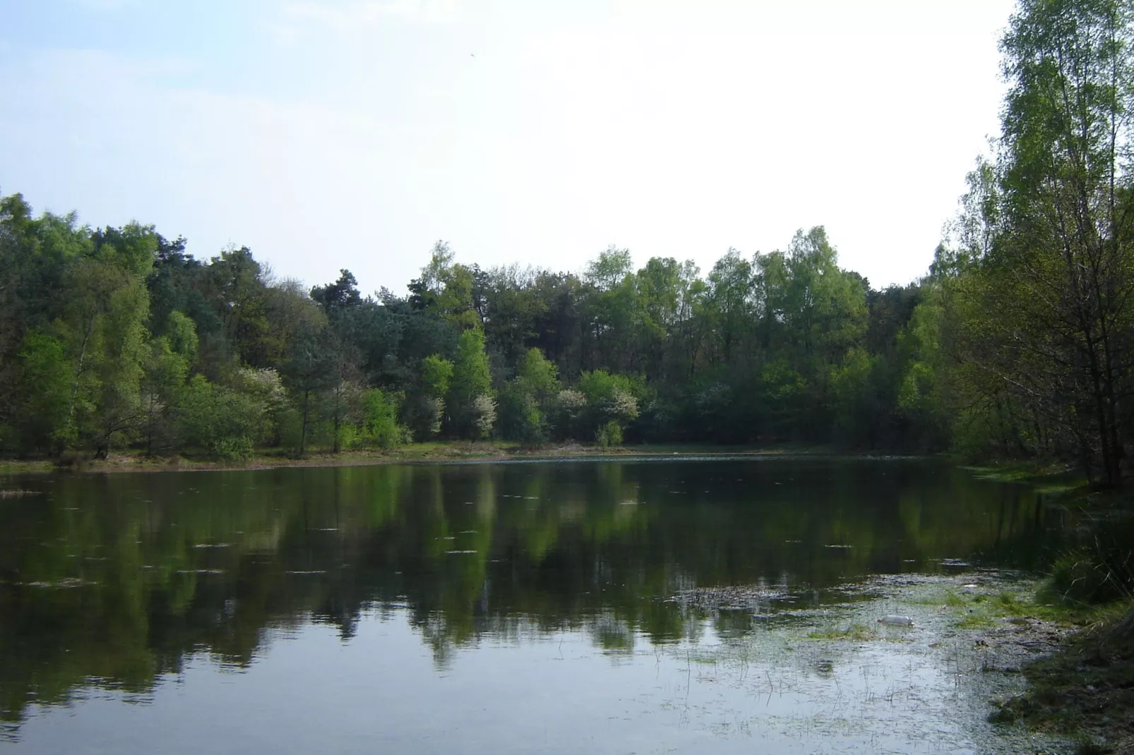 De Lansert-Areas summer 1km