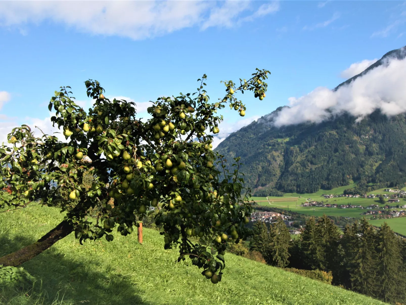 Gangerhof-Draußen