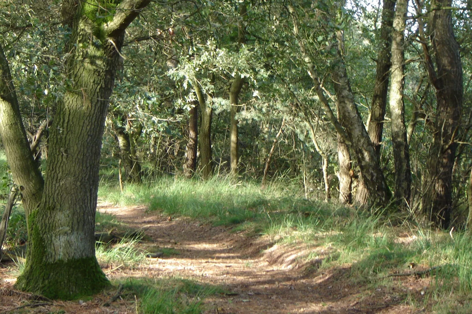 De Lansert-Areas summer 5km