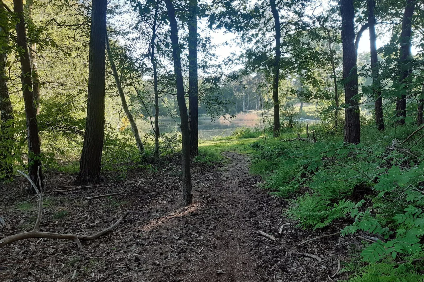 De Lansert-Areas summer 5km
