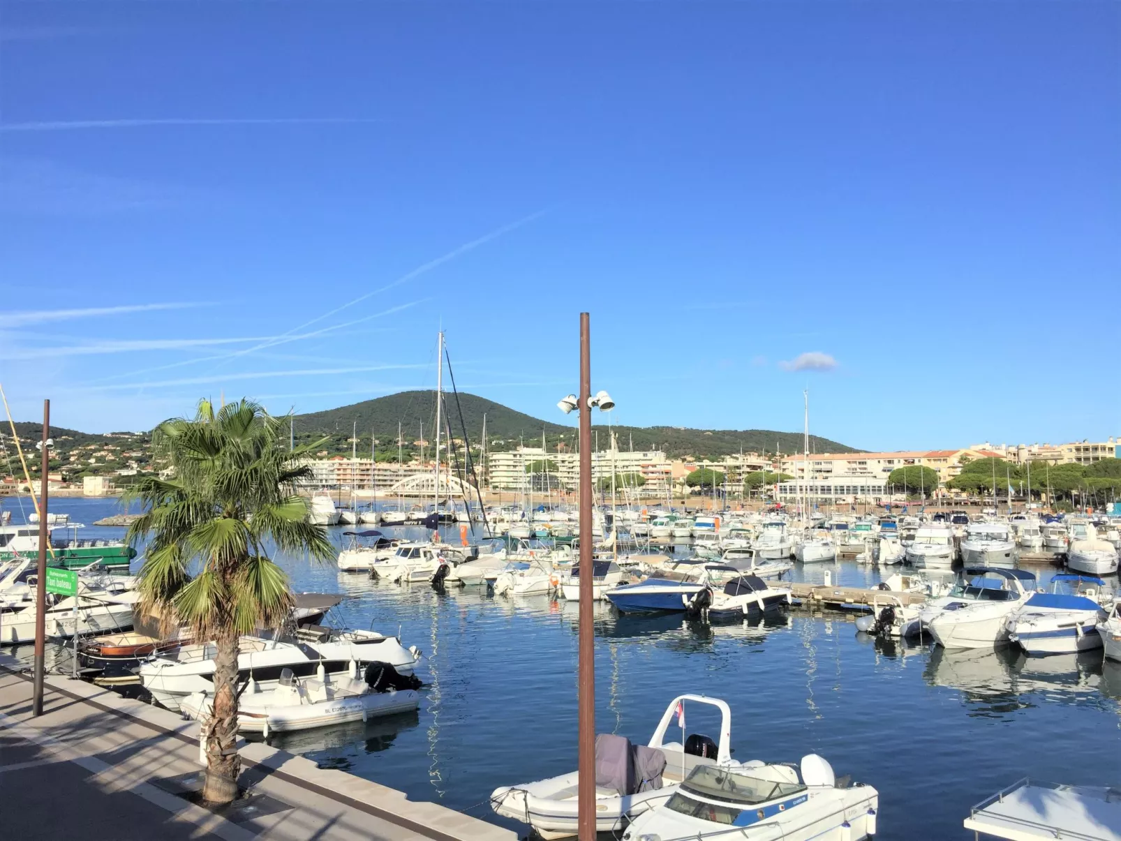 Les Pins Ensoleilles-Outside