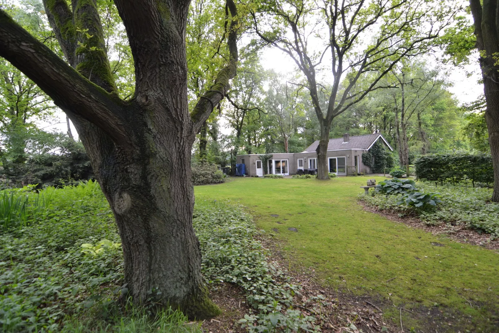 Vier Vogelenzang-Exterior summer