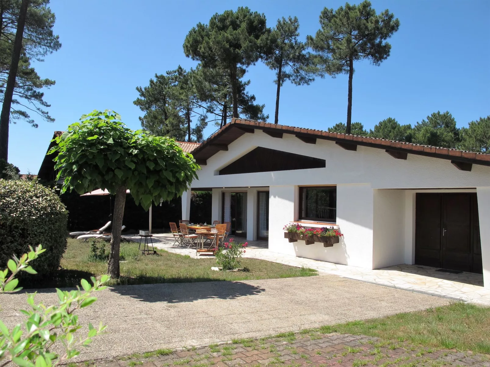 Roitelet-Outside