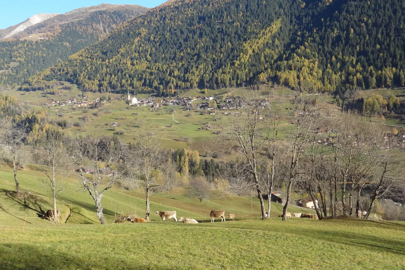 Chalet Rivendell-Aussicht Sommer