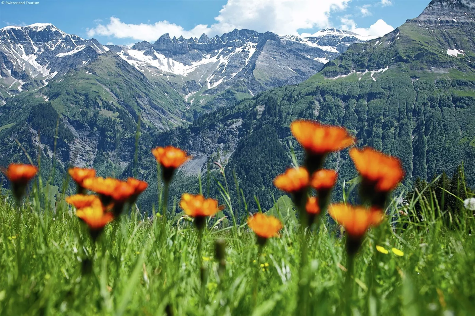 Chalet Rivendell-Gebiete Sommer 20 km
