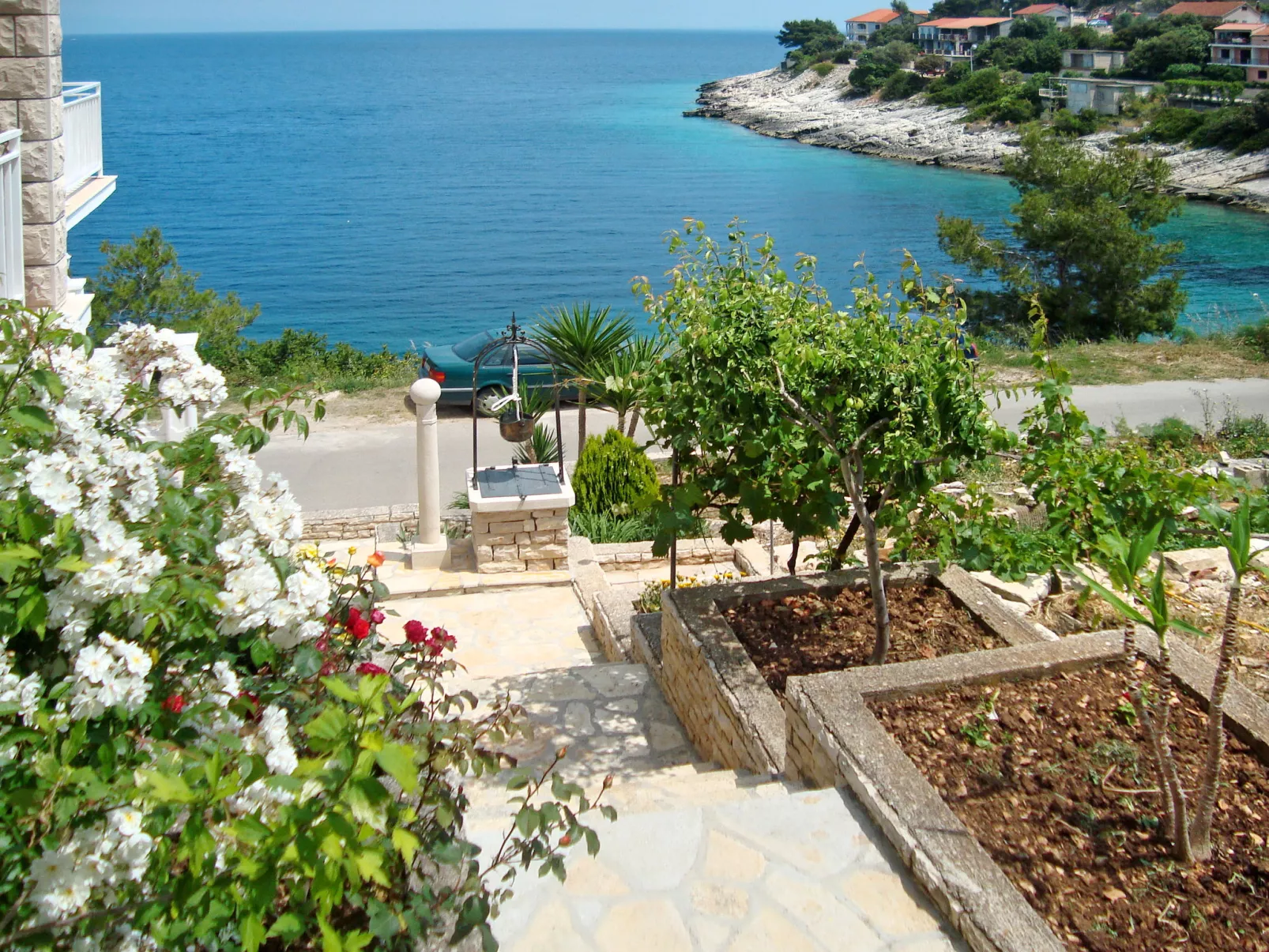 Borovina-Dehors