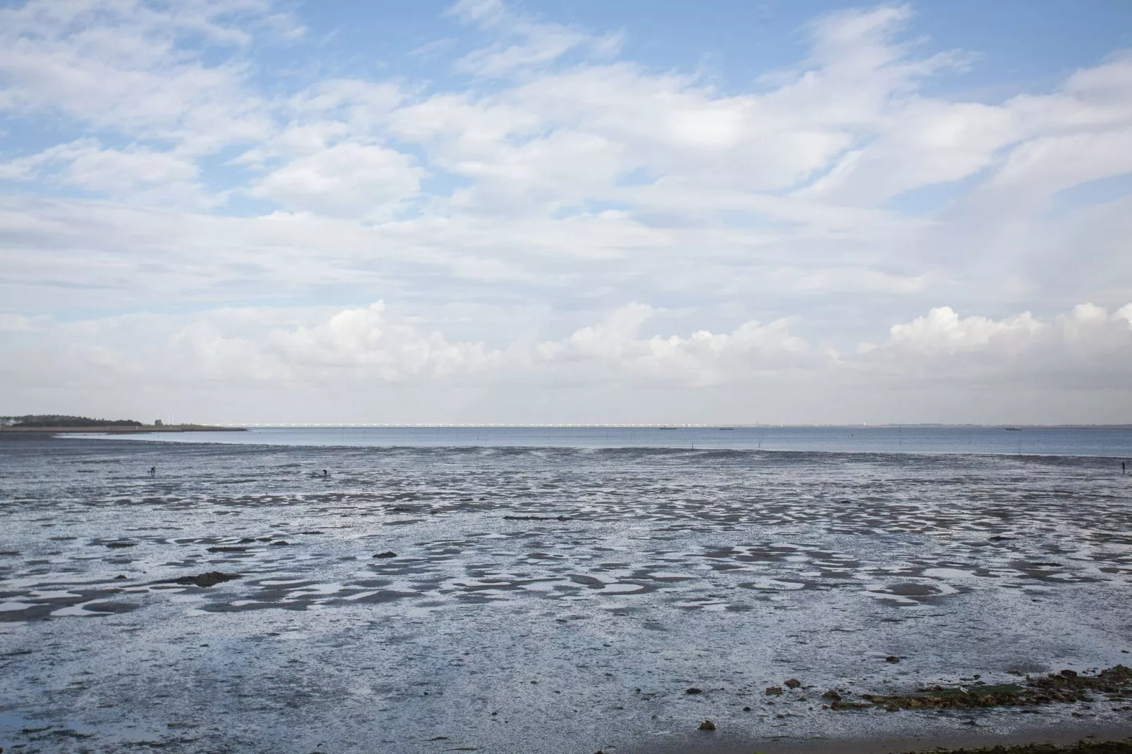 Aan de Oosterschelde-Areas summer 1km