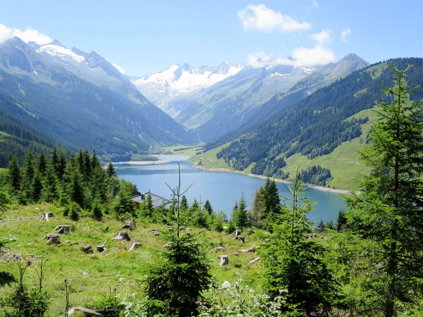 Josef-Area