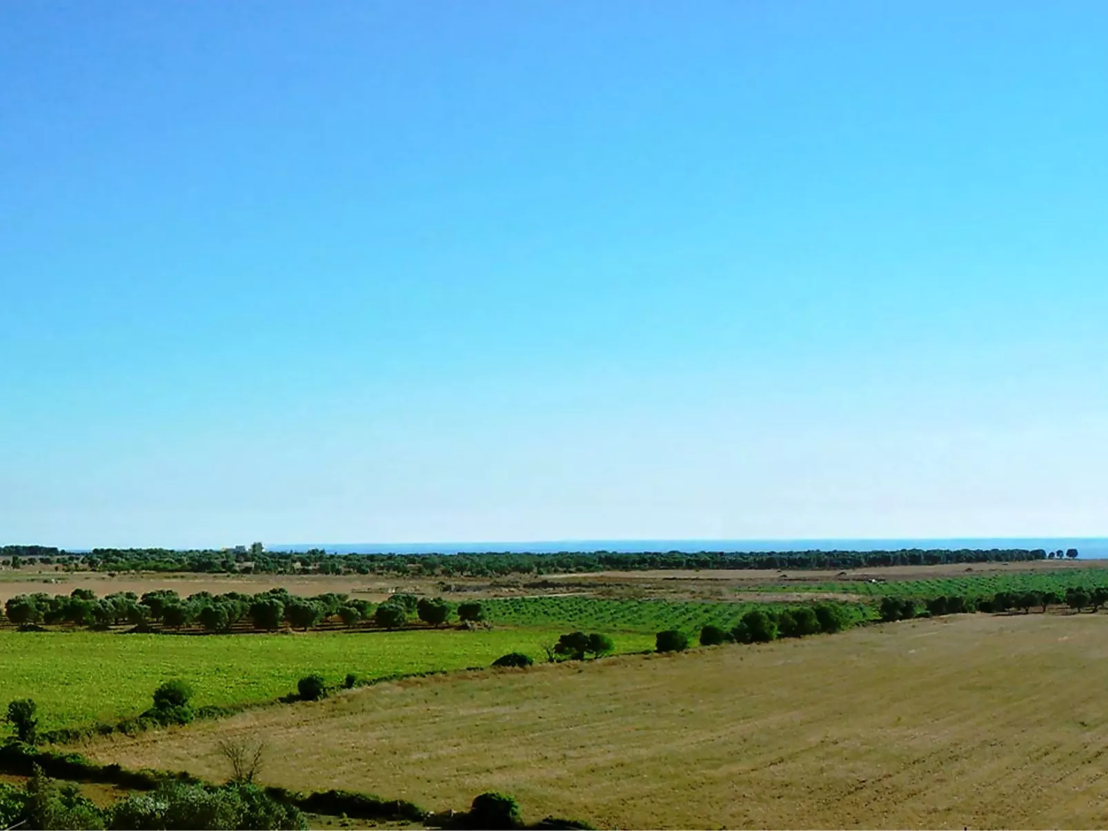Tenuta Nucci-Outside