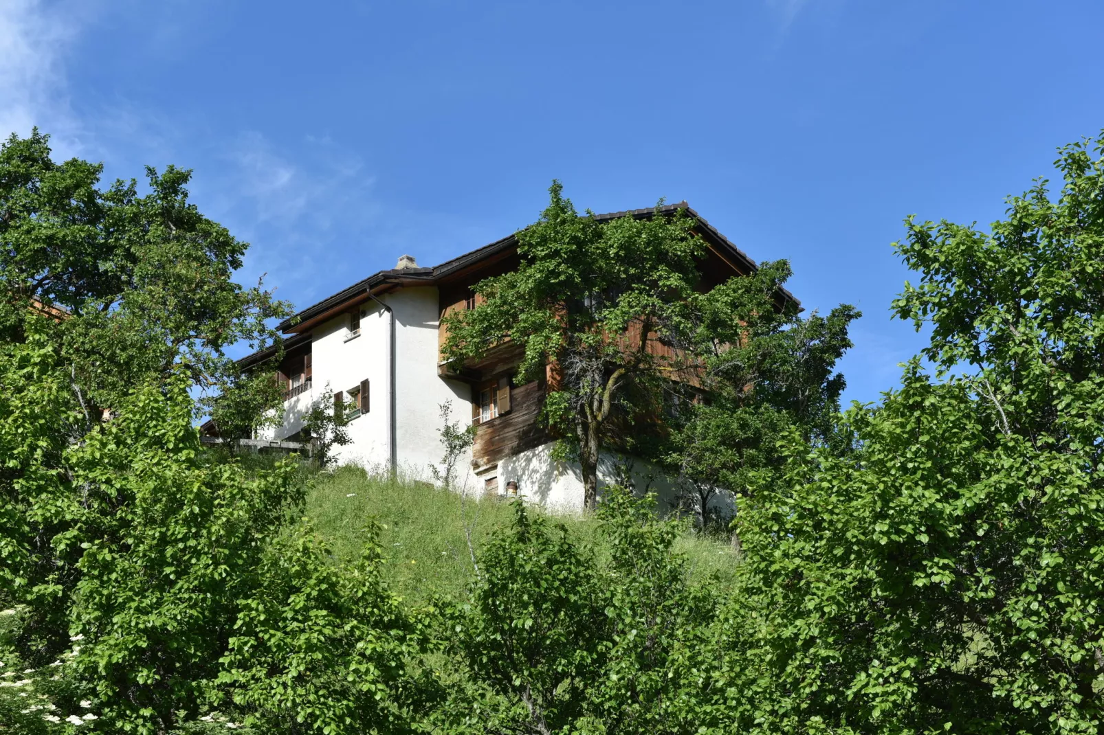 Chalet Edge-Exterior summer