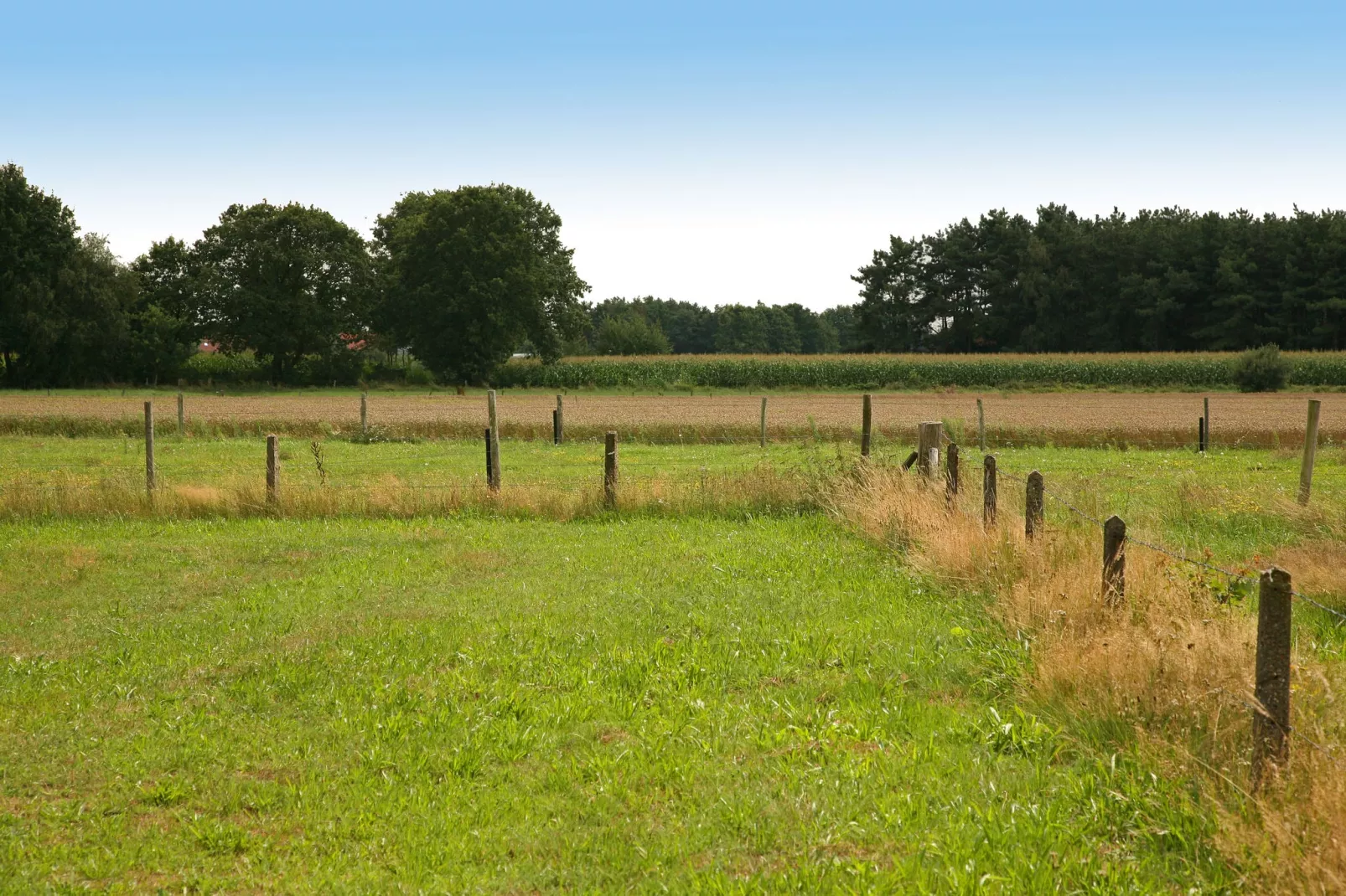 Boshuub-Gebiete Sommer 1 km