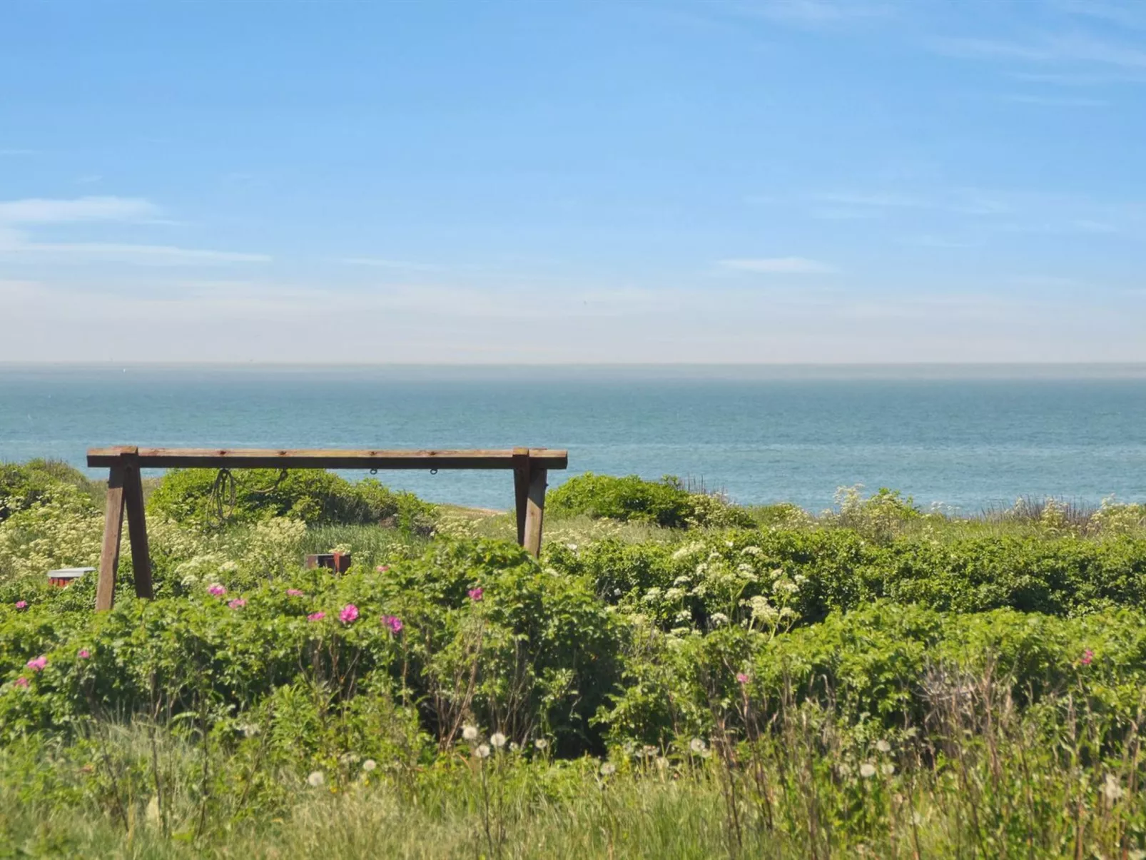 "Paul" - 100m from the sea