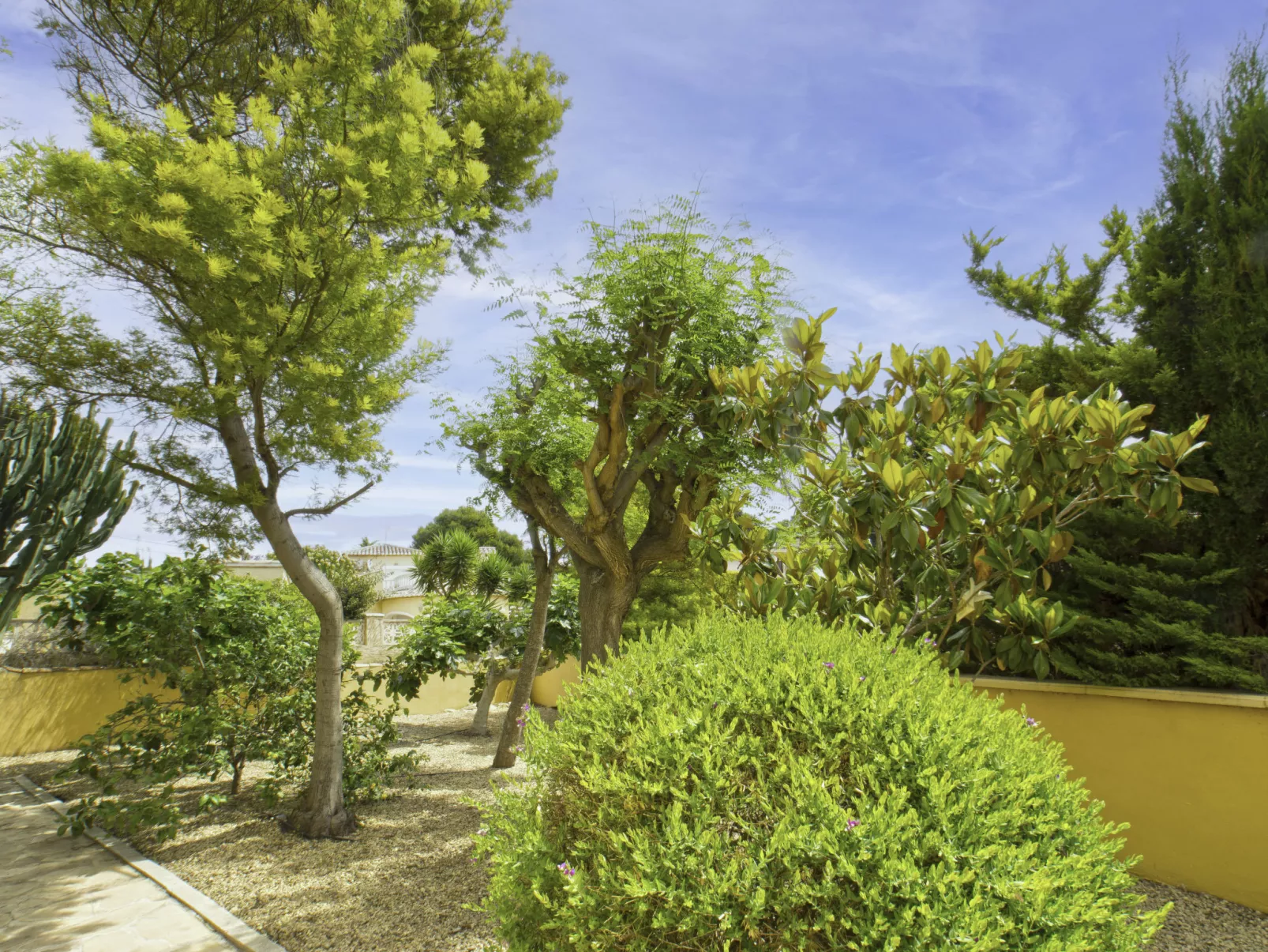 Villa Acuario-Outside