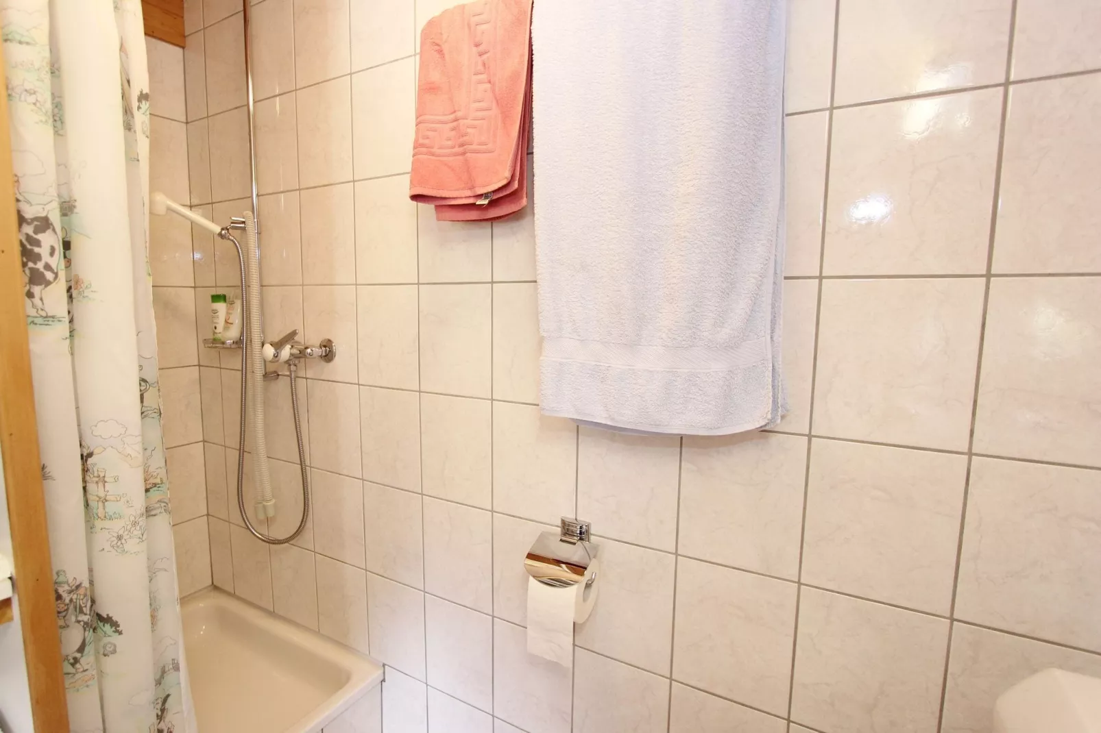 Saflischgarten-Bathroom