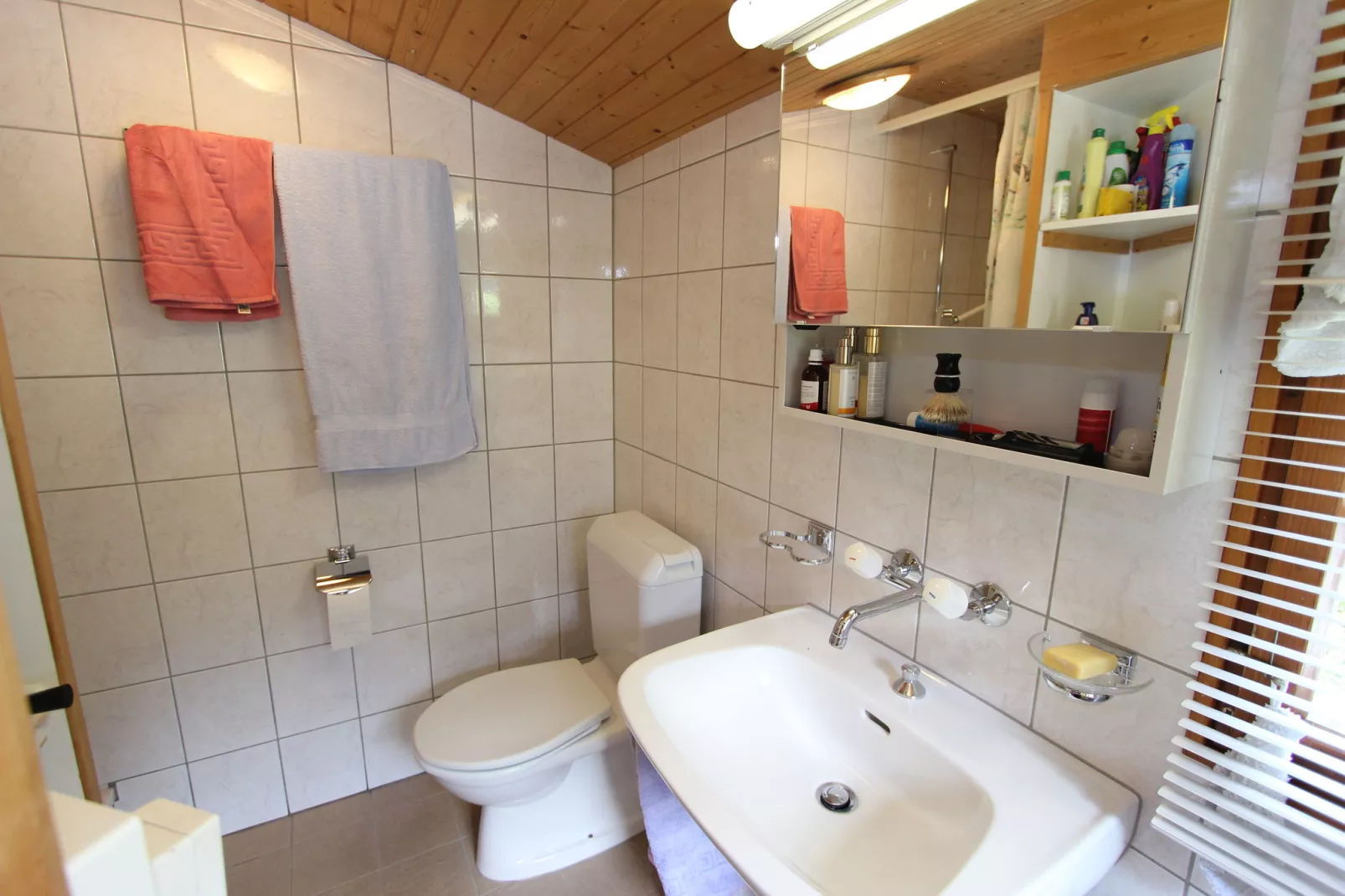 Saflischgarten-Bathroom