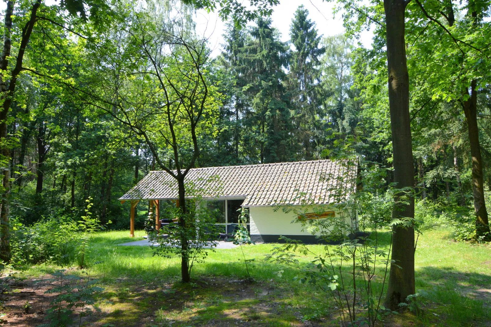 Vosseven 17 Wezel-Gardens summer