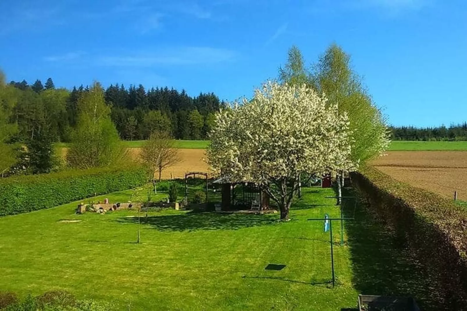 Le près fagnoux-Aussicht Sommer