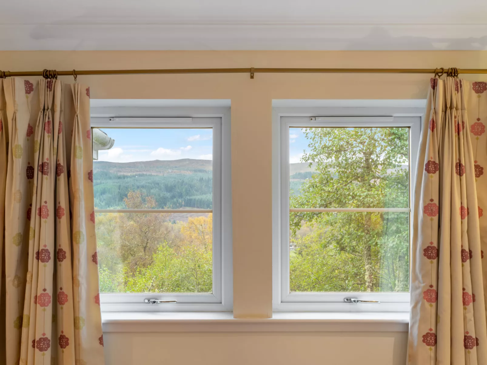 Silver Birch-Inside