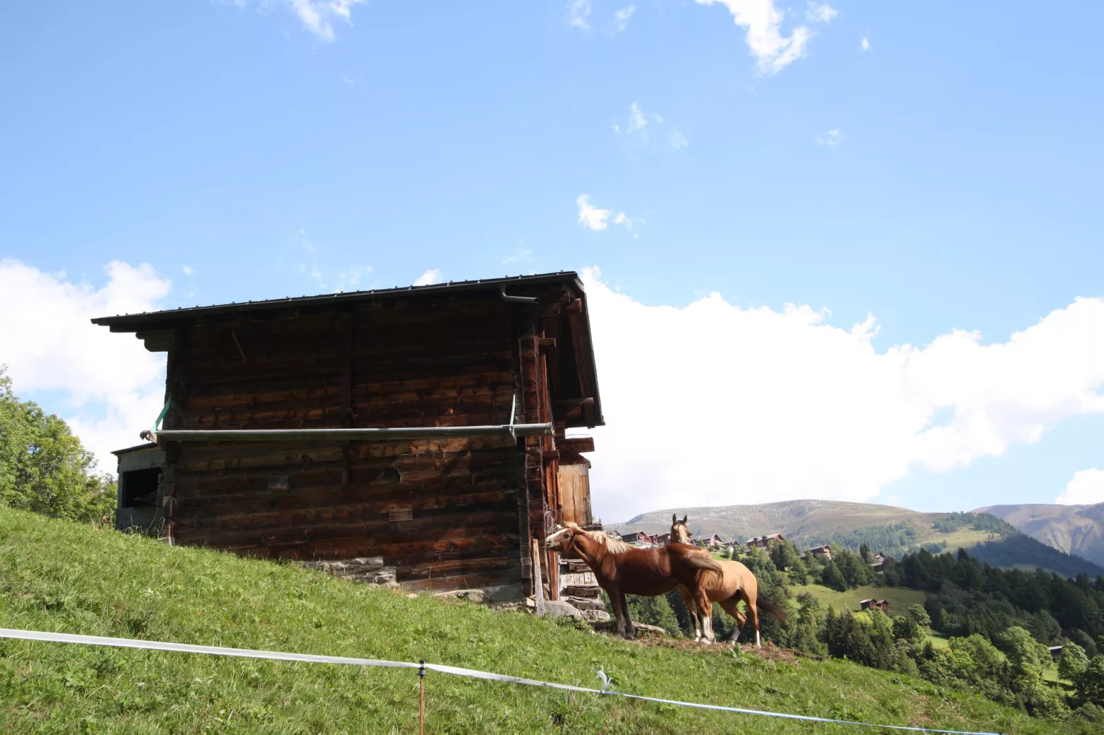 Bel Air-Areas summer 1km