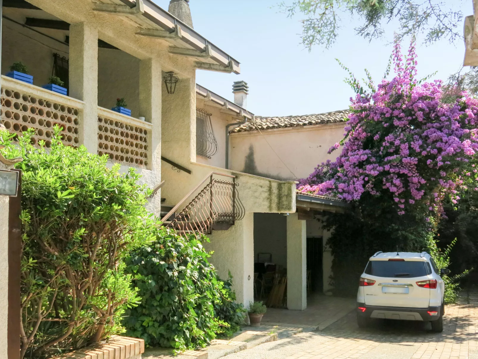 Bouganville-Outside