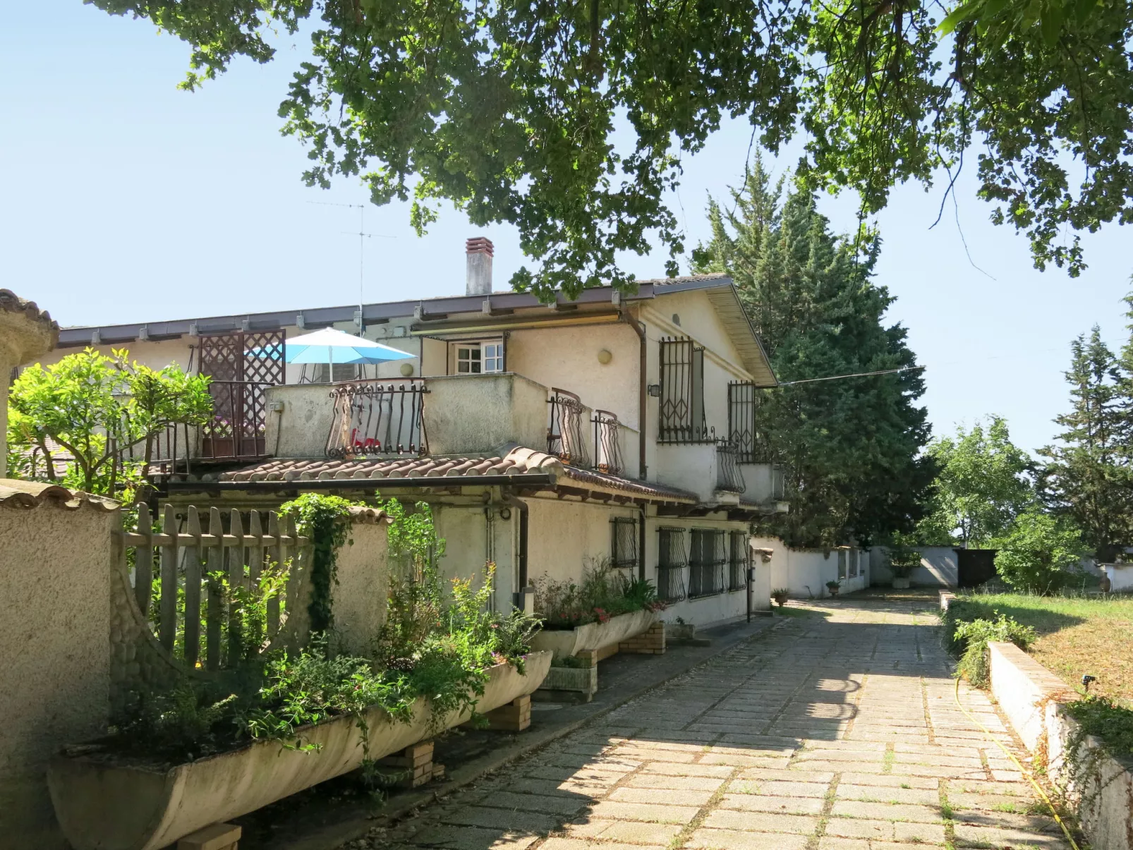Bouganville-Outside