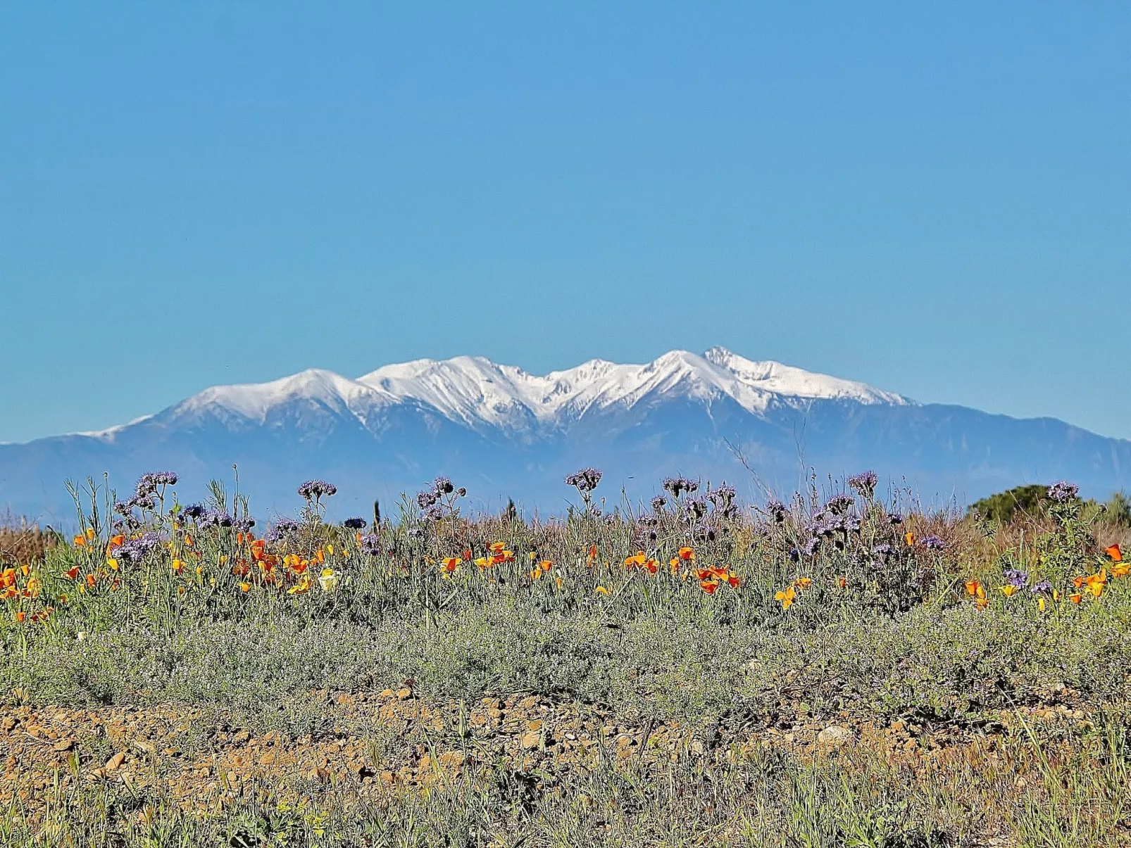Santa Barbara-Area