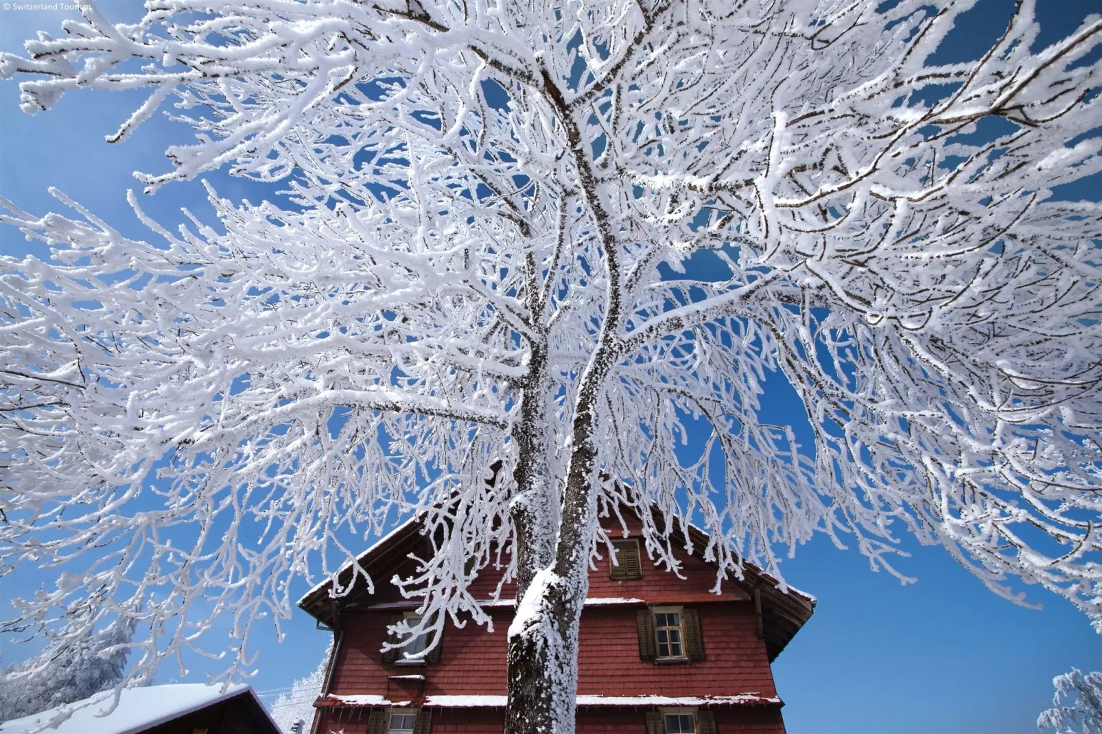 Haus Lerch-Area winter 5km