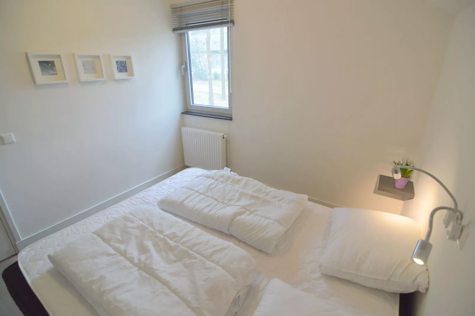 Bungalow 5-Bedroom