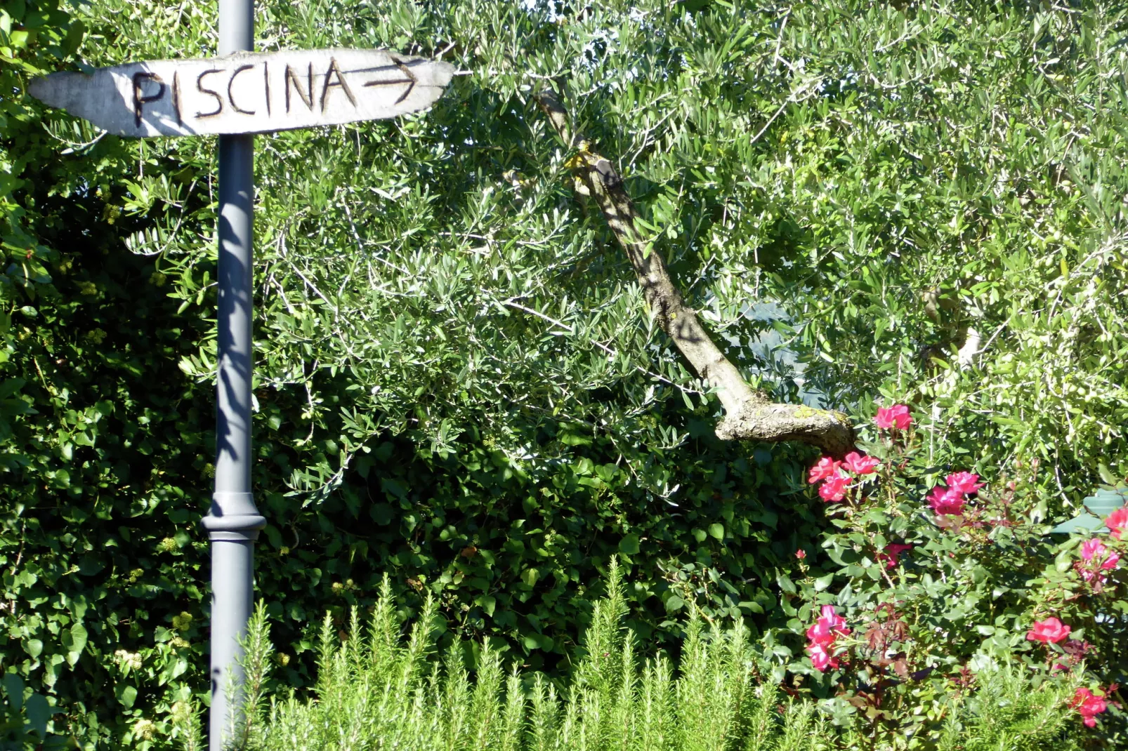 Salice Sei-Gardens summer