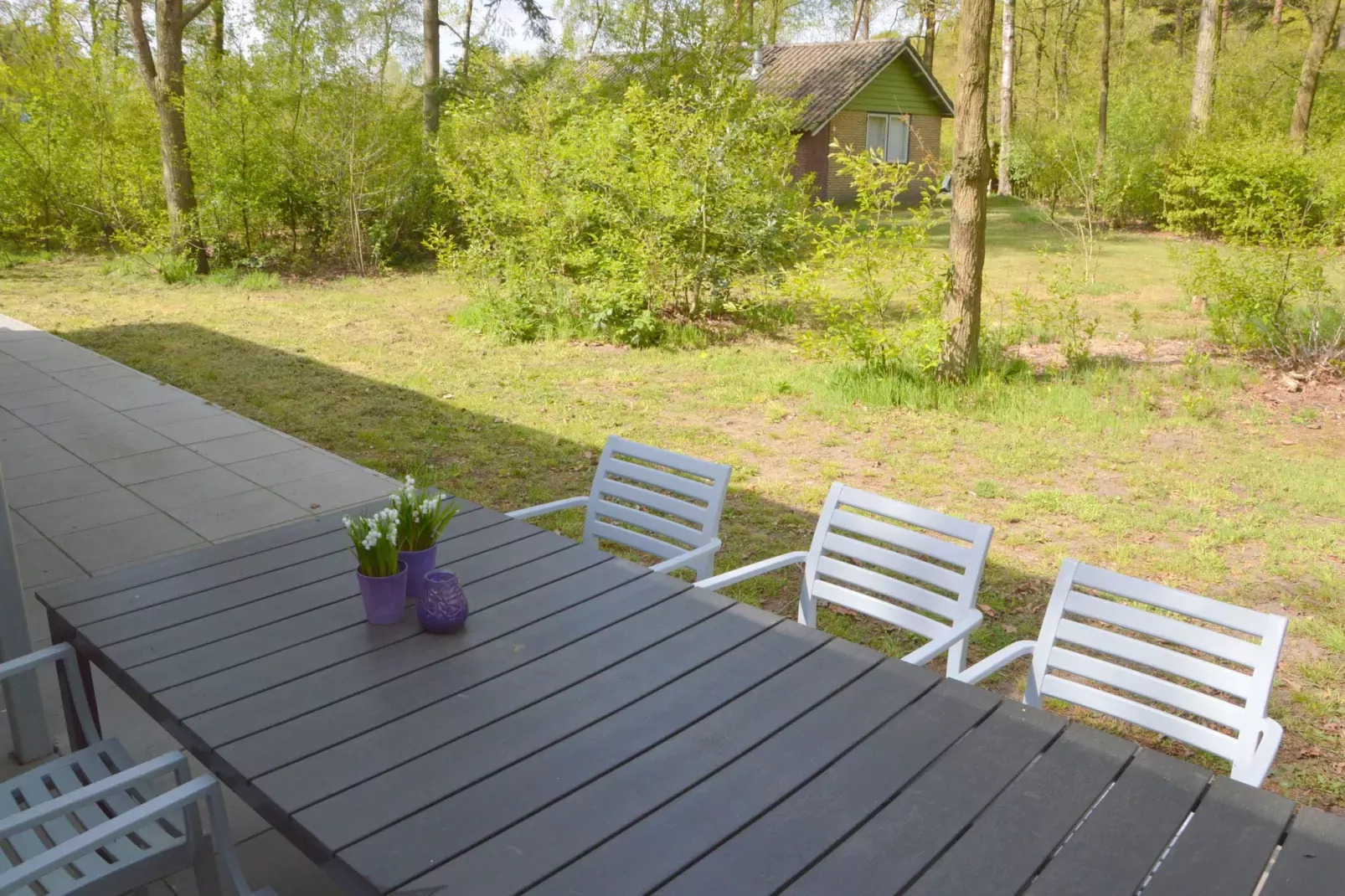 Bungalow 5-View summer
