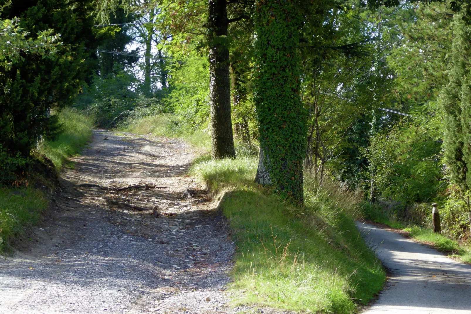 Salice Sei-Areas summer 1km